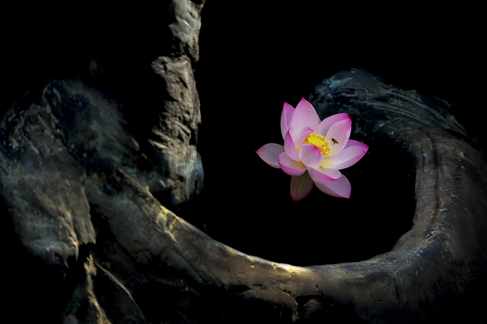 111年活動組得獎作品