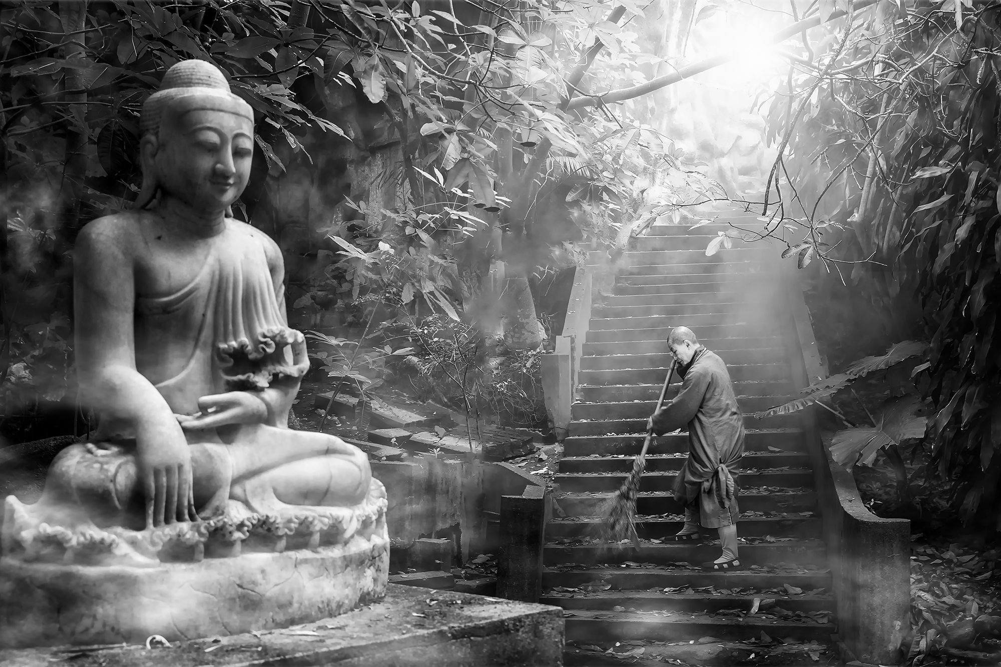 111年自由組得獎作品