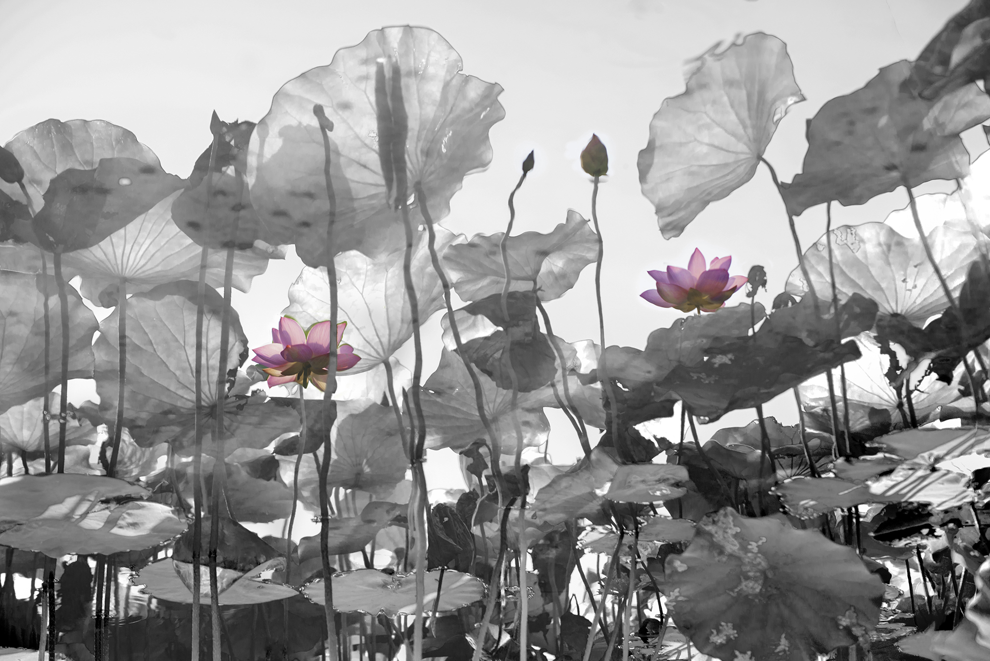 107年活動組得獎作品