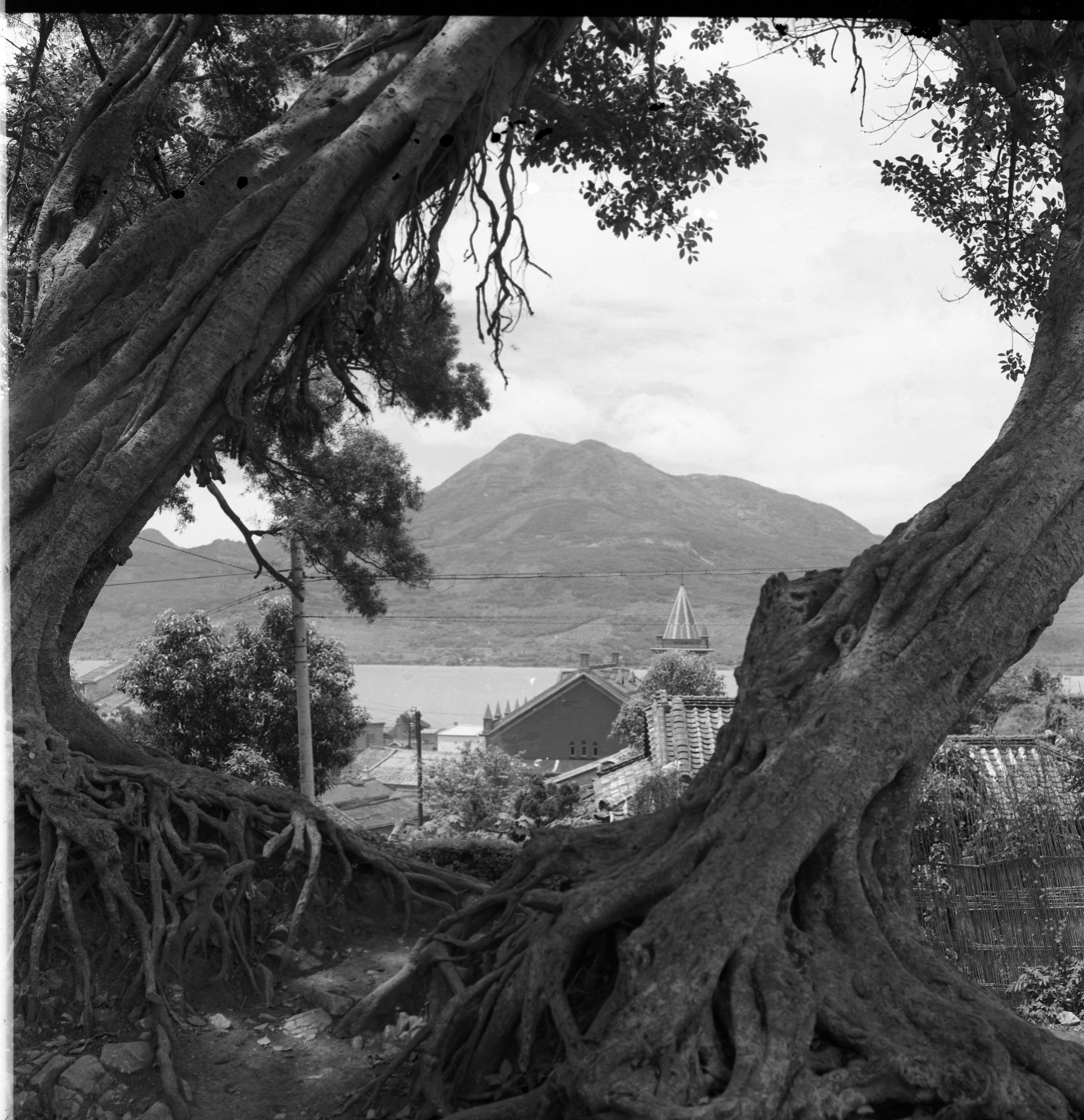 張鑽傳歷史博物館紀錄片